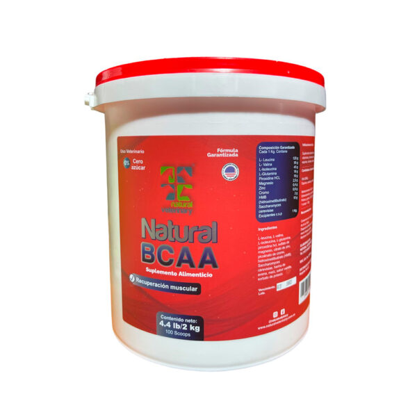 NATURAL BCAA | Recuperación Muscular