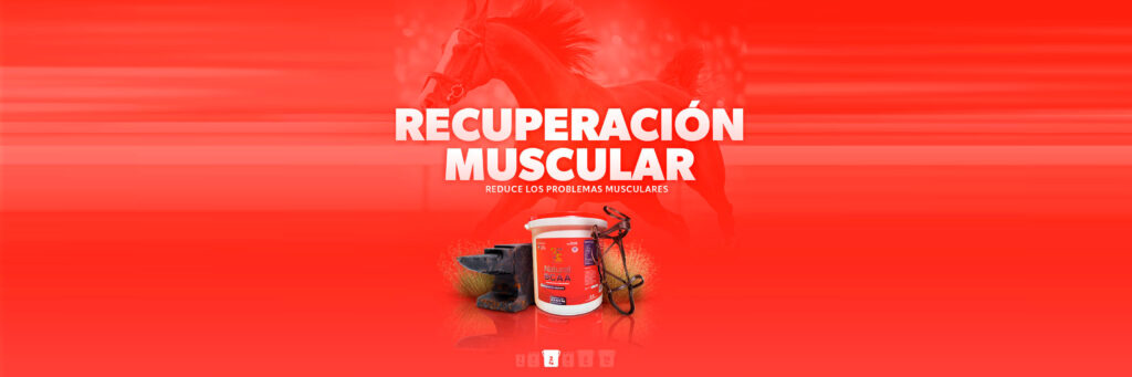 recuperacion muscular natural veterinary mod