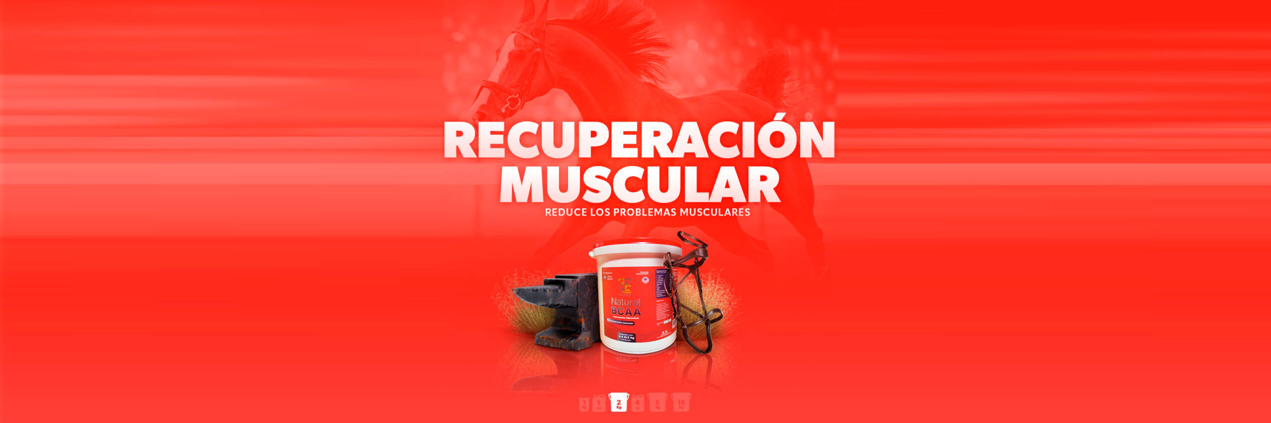 recuperacion muscular natural veterinary mod