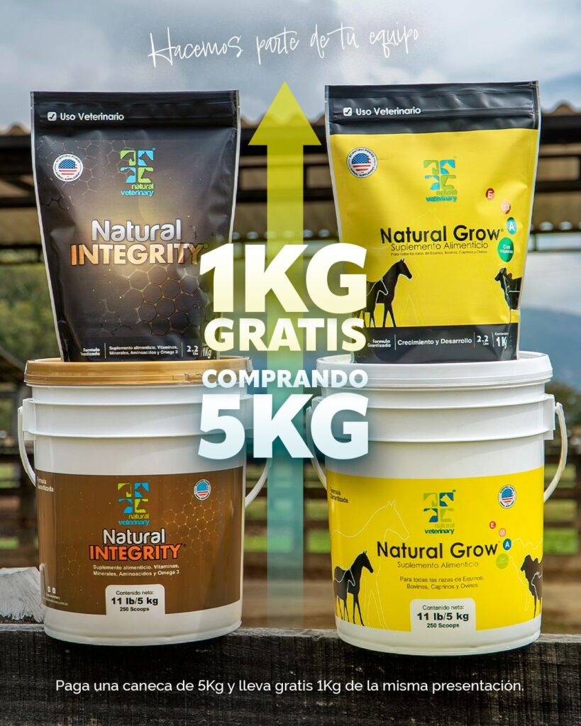 WhatsApp Image 2026 01 09 at 11.26.18 AM