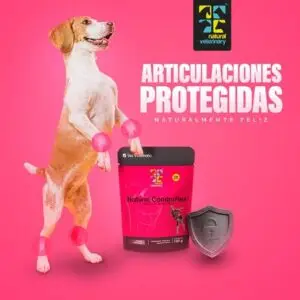 La importancia del cuidado articular en nuestras mascotas