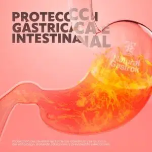 Natural Gastrok: el aliado contra los problemas gástricos en tus mascotas