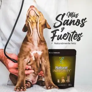 Natural Integrity: el suplemento más completo para la salud de tus perros y gatos