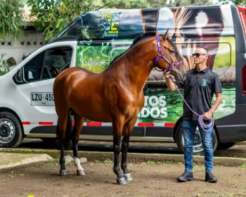 NATURAL GROW El crecimiento de un campe&oacute;n comienza mucho antes de entrar a la pista